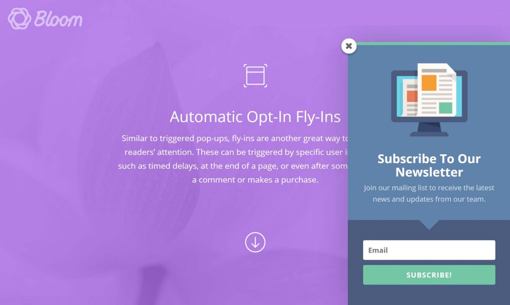 Elegant-Themes-Bloom-Fly-in-Optin