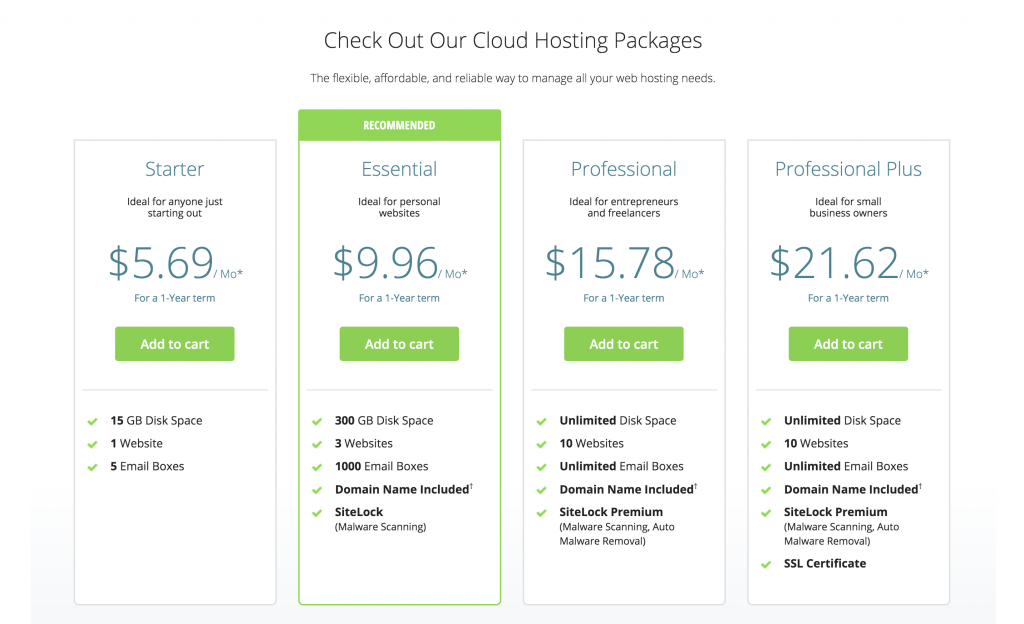 Hosting Packages