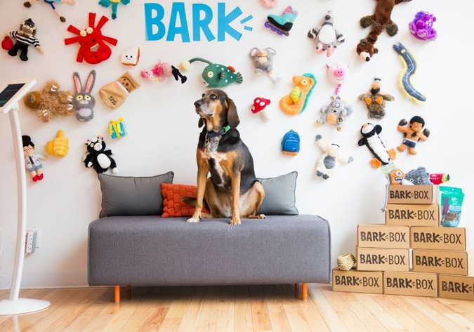 barkbox